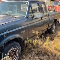 1995 Ford F150